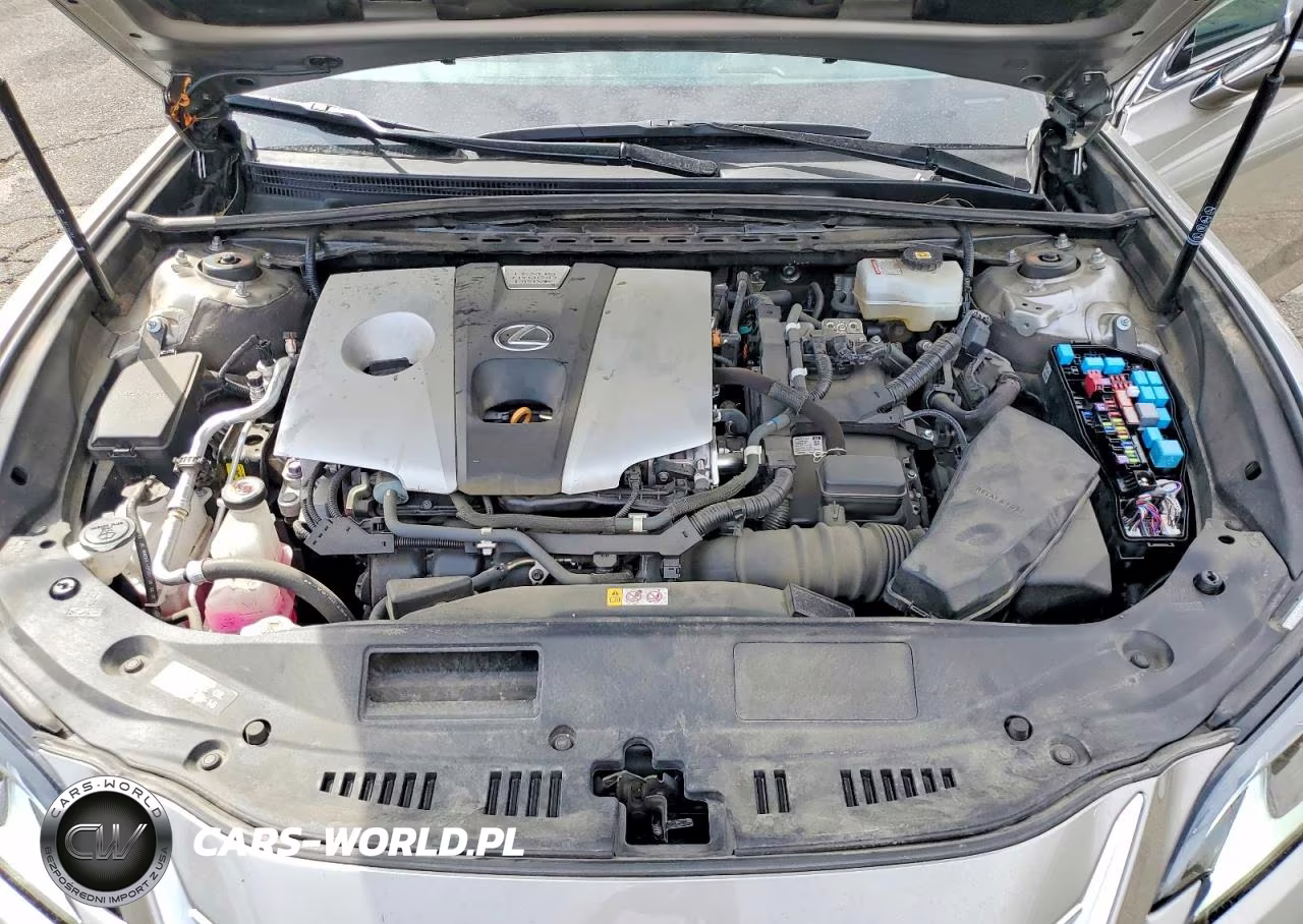 2021 Lexus Es 300H VIN:58ADA1C18MU003157 - 11