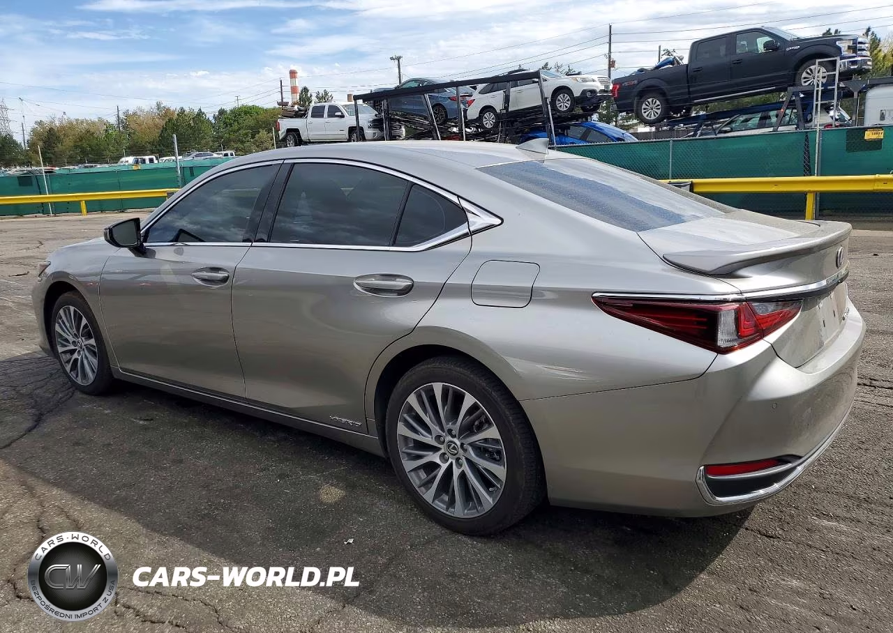 2021 Lexus Es 300H VIN:58ADA1C18MU003157 - 2