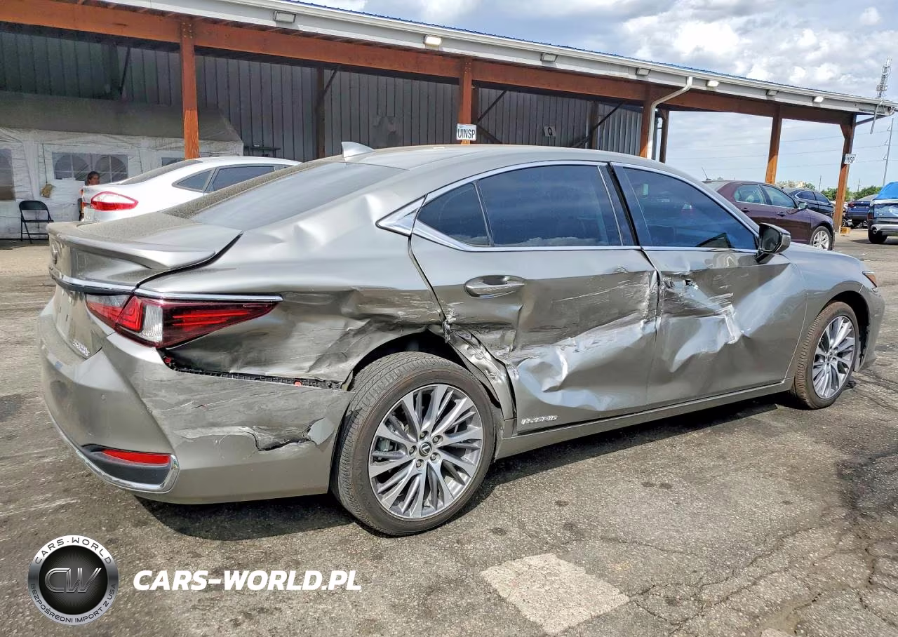 2021 Lexus Es 300H VIN:58ADA1C18MU003157 - 3