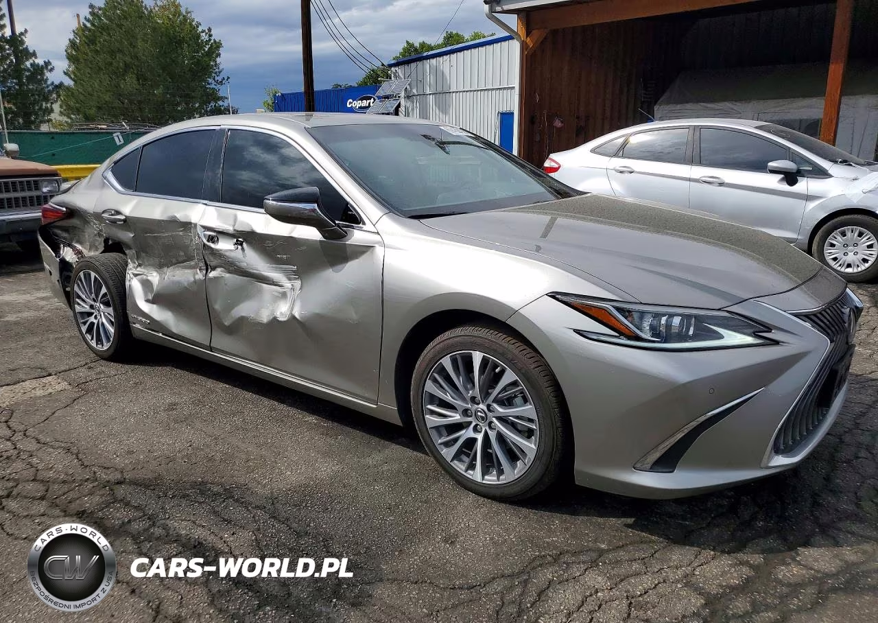 2021 Lexus Es 300H VIN:58ADA1C18MU003157 - 4