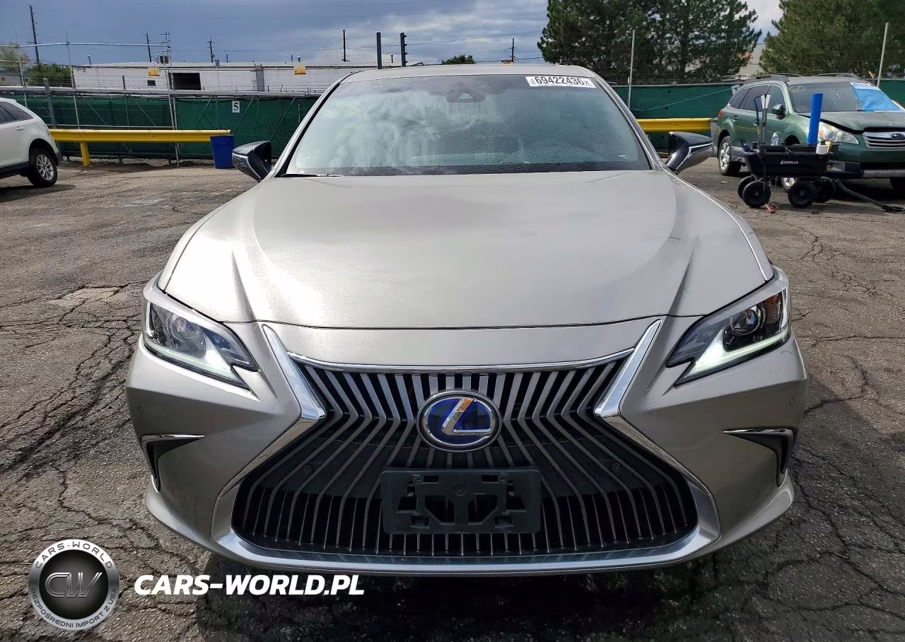 2021 Lexus Es 300H VIN:58ADA1C18MU003157 - 5