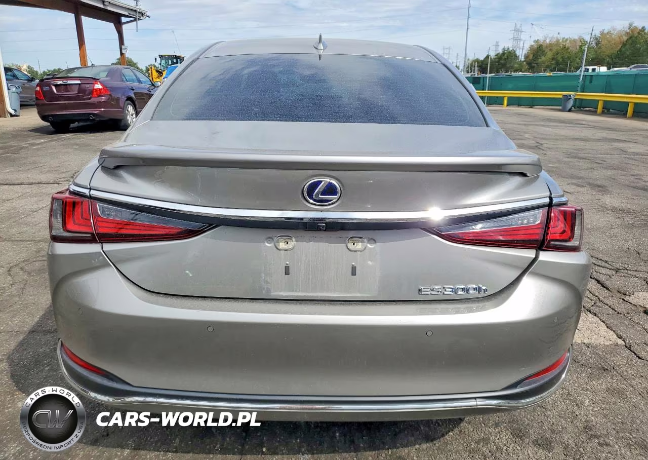 2021 Lexus Es 300H VIN:58ADA1C18MU003157 - 6