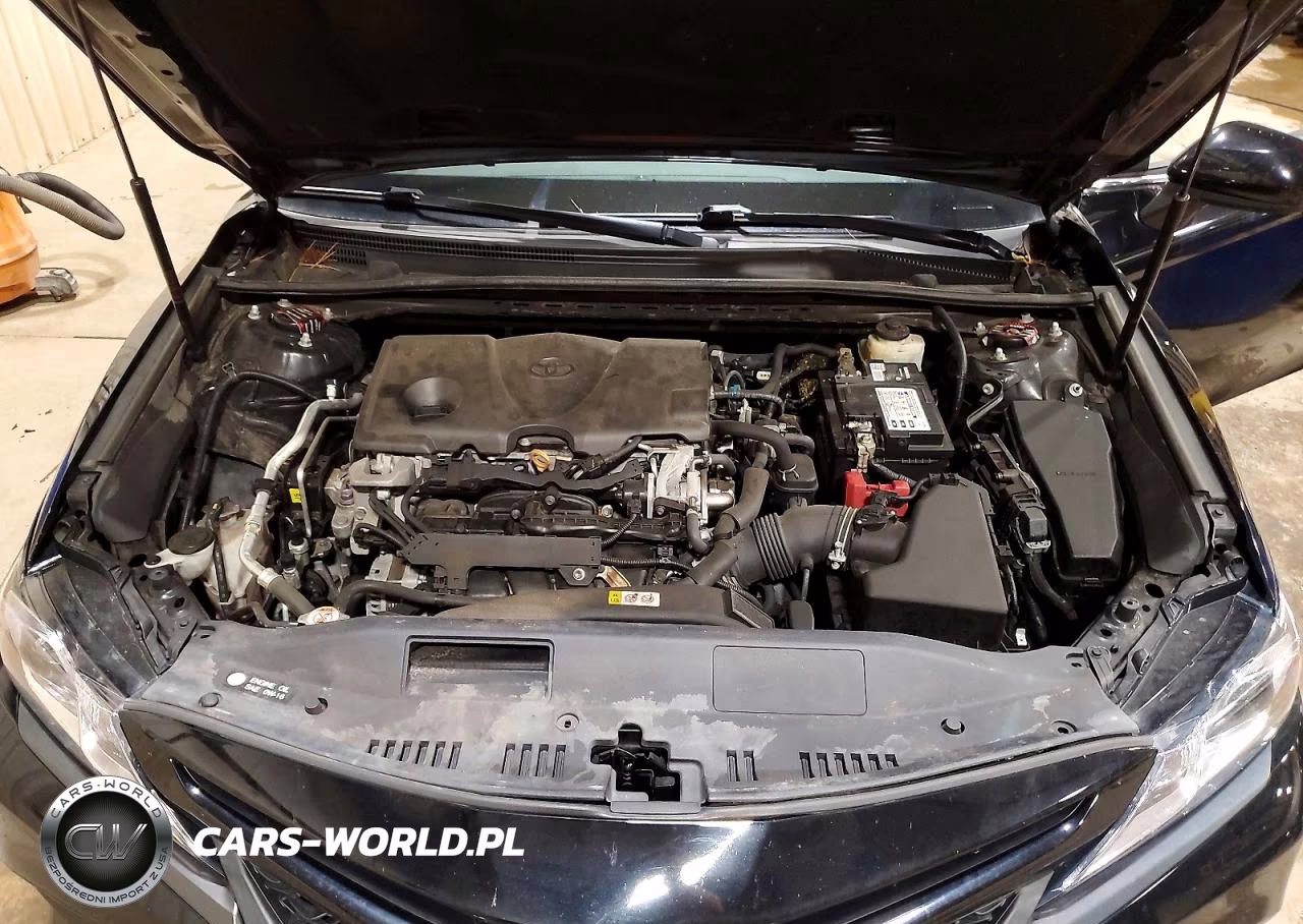2019 Toyota Camry Se VIN:4T1B11HK3KU822106 - 11