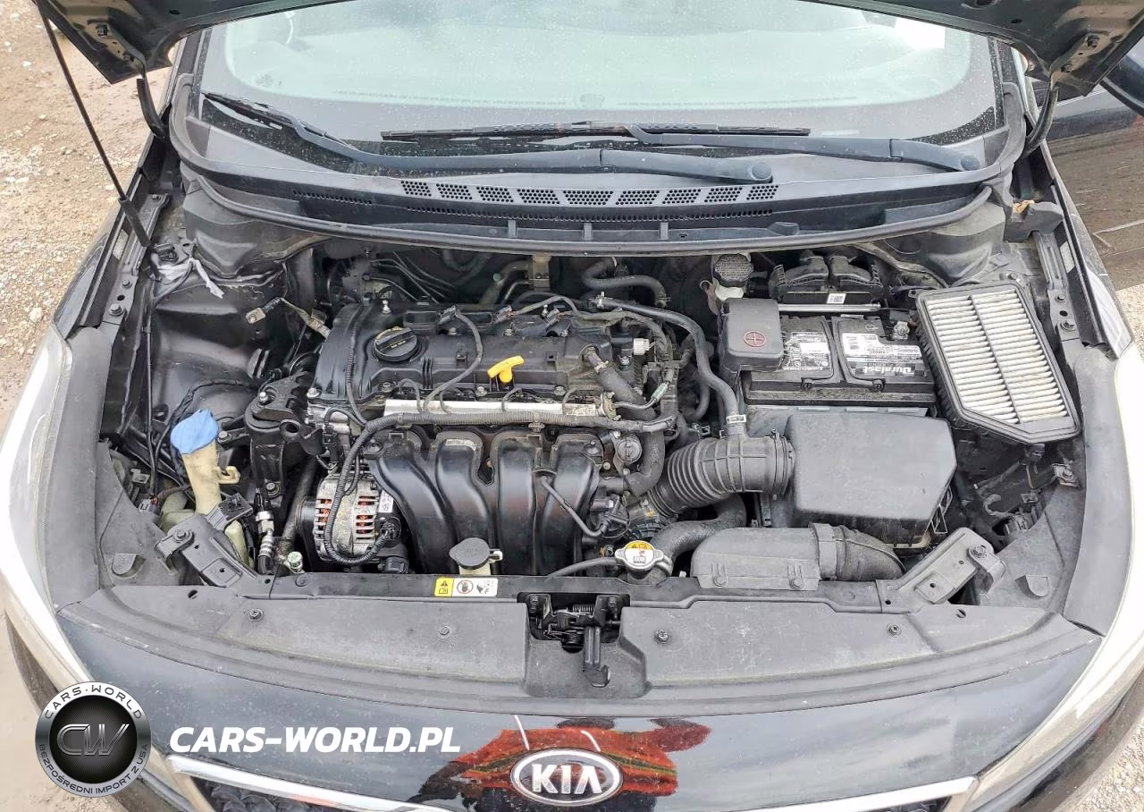 2017 Kia Forte Lx VIN:3KPFL4A72HE007250 - 11