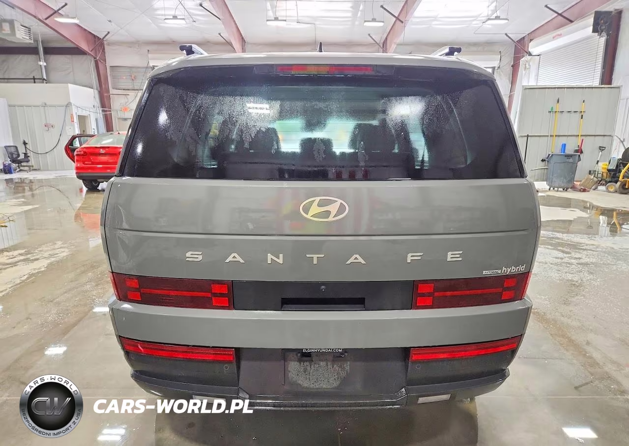 2025 Hyundai Santa Fe Sel VIN:5NMP2DG12SH029677 - 6