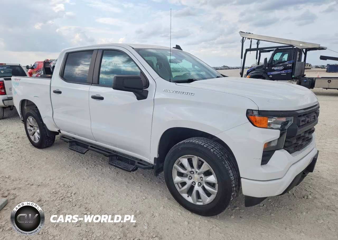2022 Chevrolet Silverado K1500 Custom VIN:1GCPDBEK2NZ582291 - 4