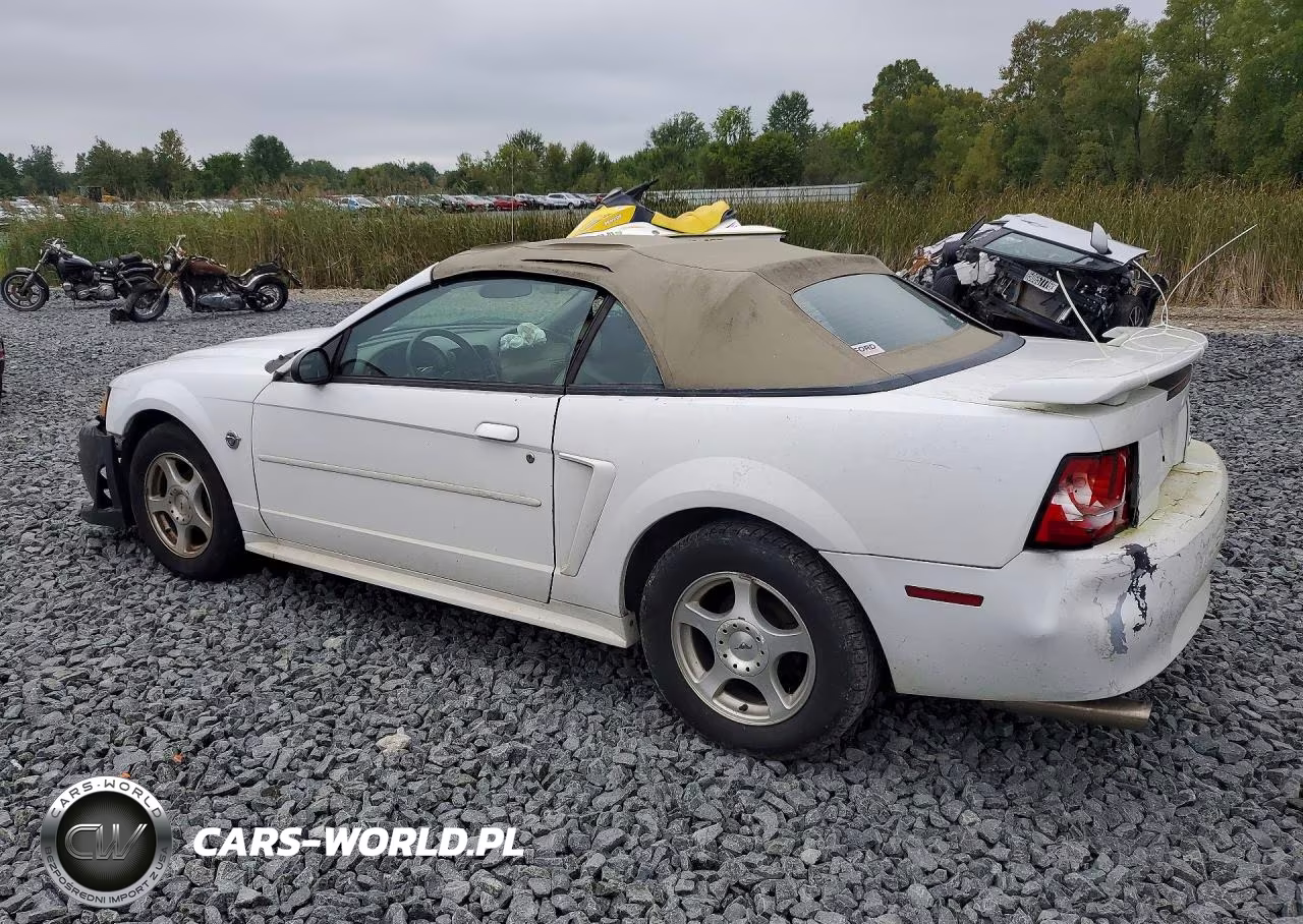 2004 Ford Mustang VIN:1FAFP44604F182769 - 2