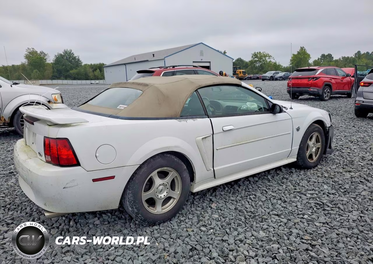2004 Ford Mustang VIN:1FAFP44604F182769 - 3