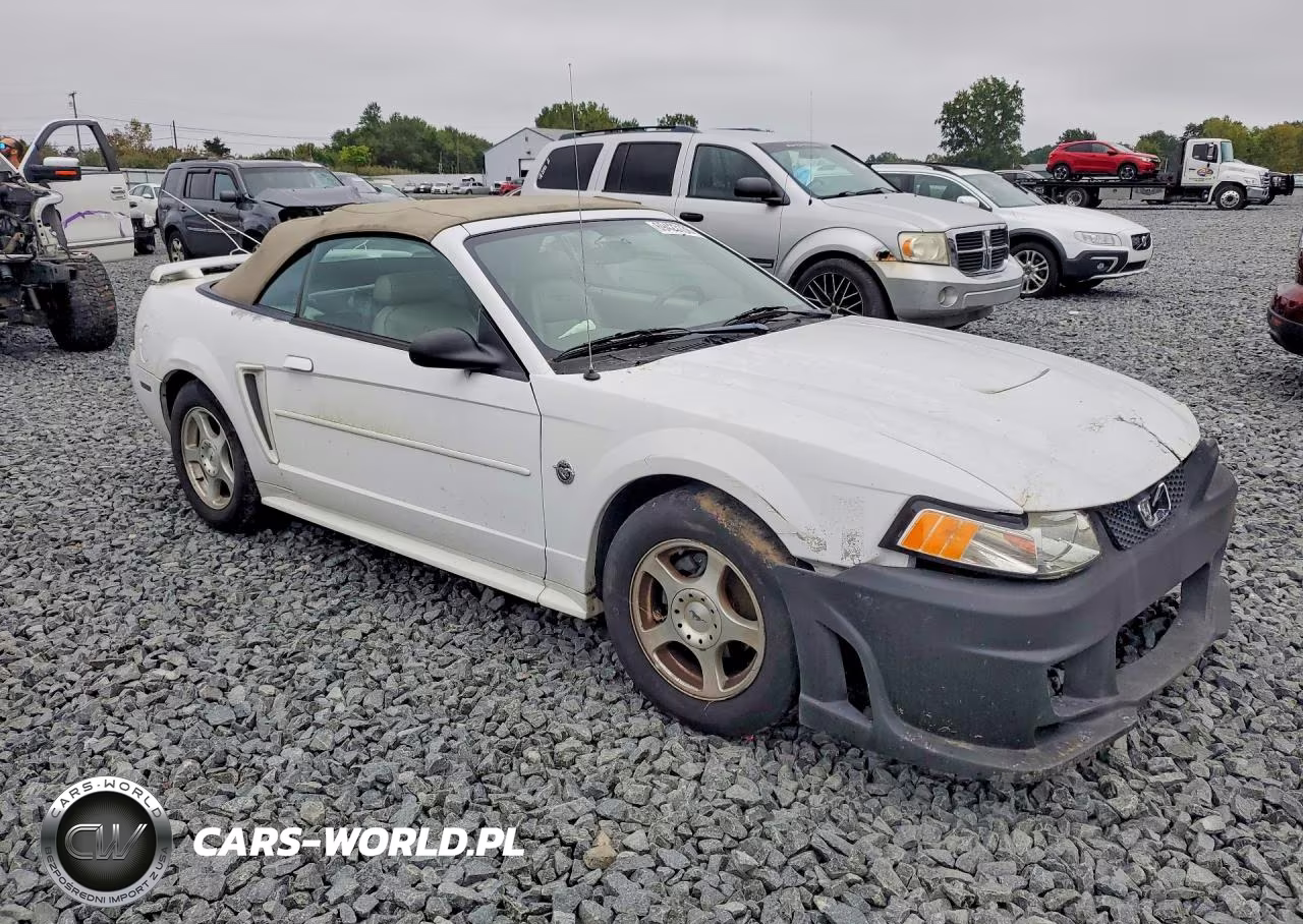 2004 Ford Mustang VIN:1FAFP44604F182769 - 4