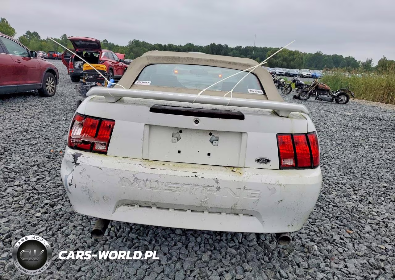 2004 Ford Mustang VIN:1FAFP44604F182769 - 6