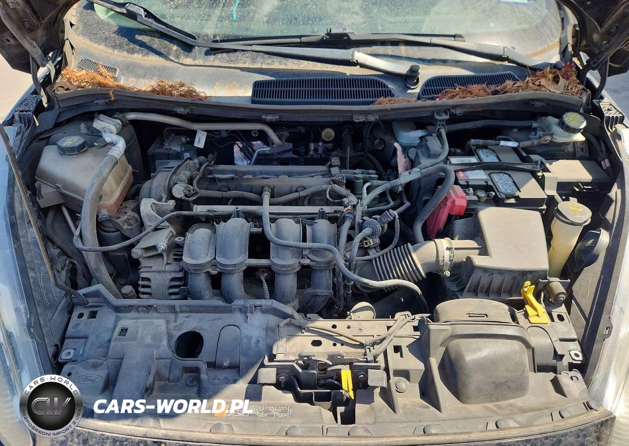 2016 Ford Fiesta Se VIN:3FADP4EJ6GM156689 - 11