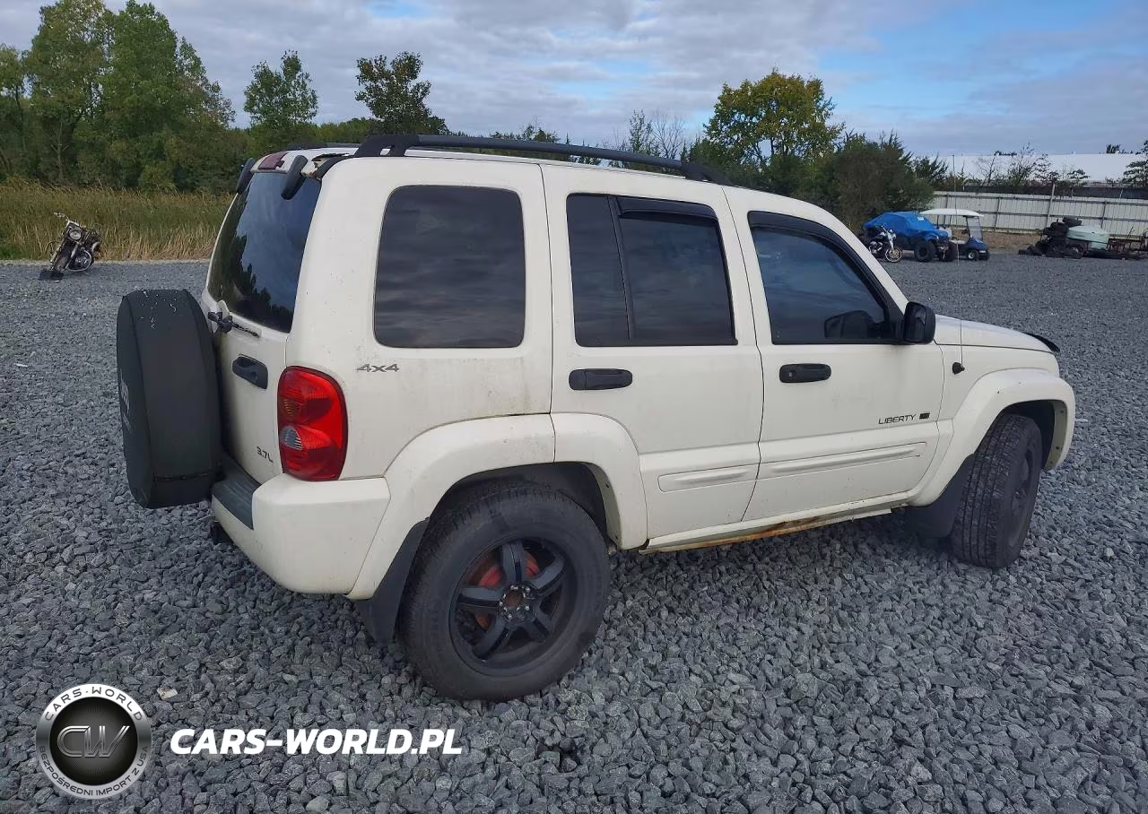 2002 Jeep Liberty Limited VIN:1J4GL58K42W250540 - 3