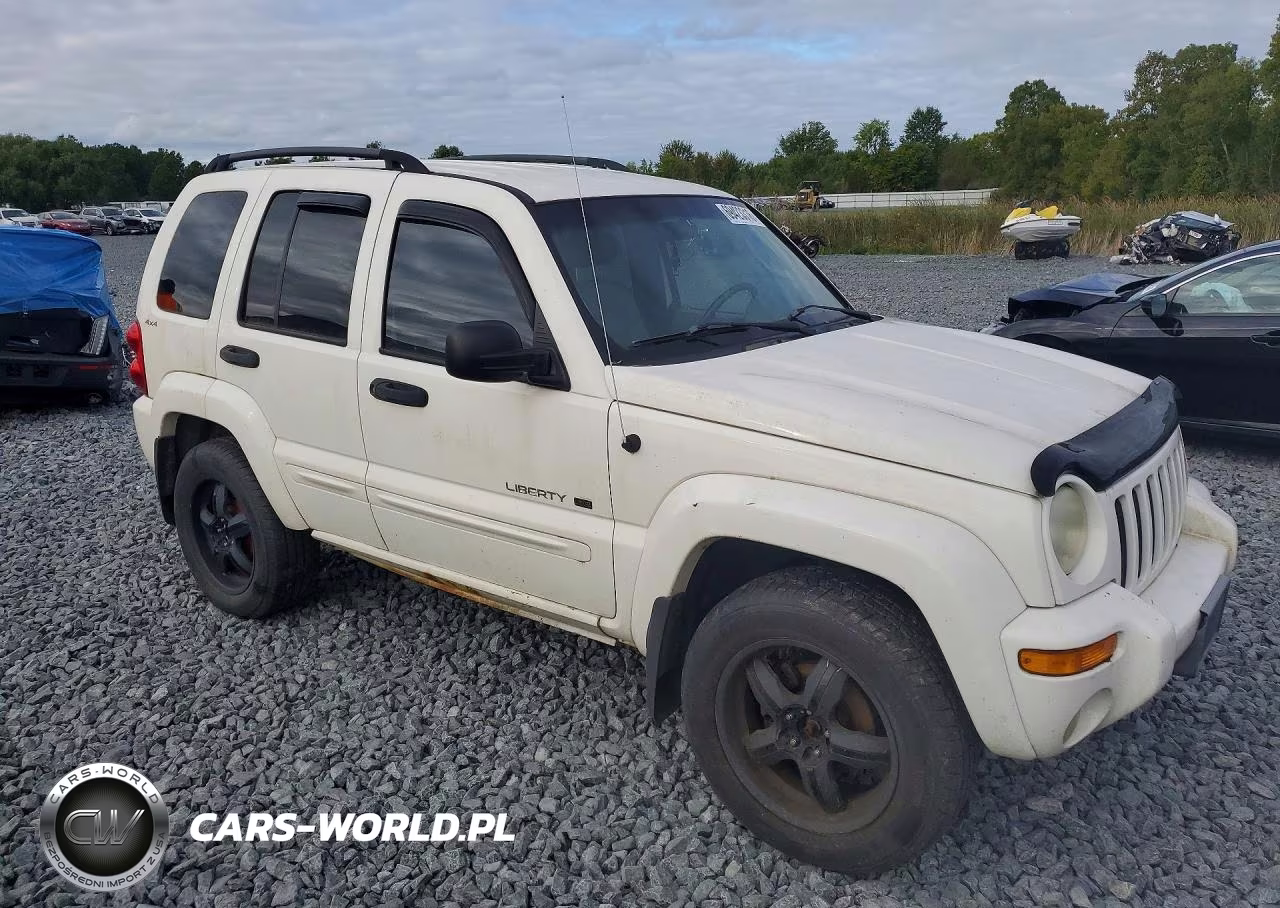 2002 Jeep Liberty Limited VIN:1J4GL58K42W250540 - 4
