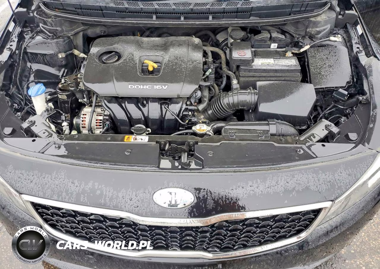 2018 Kia Forte Lx VIN:3KPFL4A78JE194984 - 11