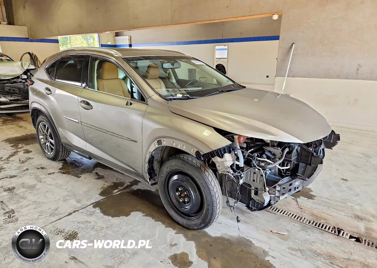 2016 Lexus Nx 200T Base VIN:JTJBARBZ0G2064718 - 4