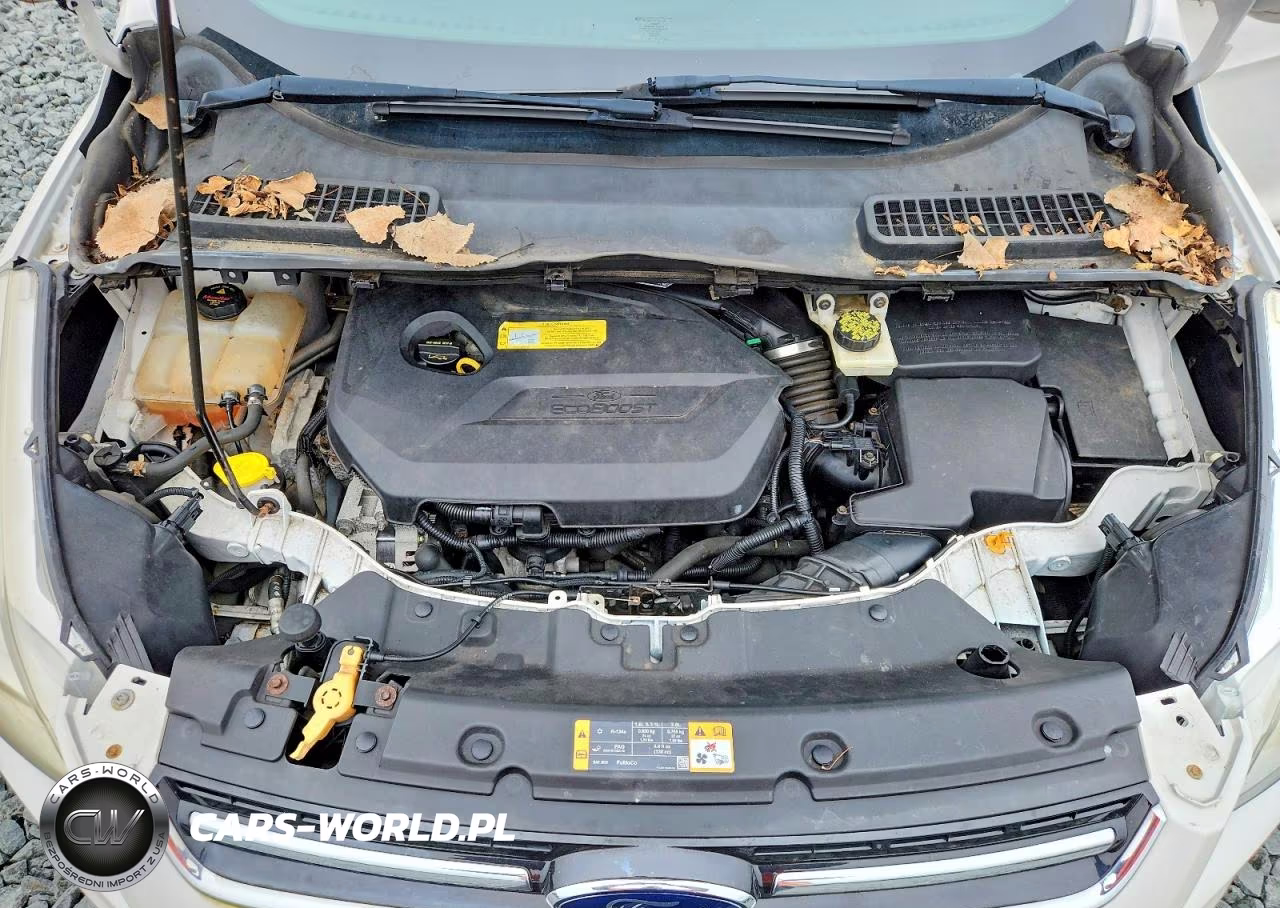 2013 Ford Escape Sel VIN:1FMCU9HX9DUB52392 - 12