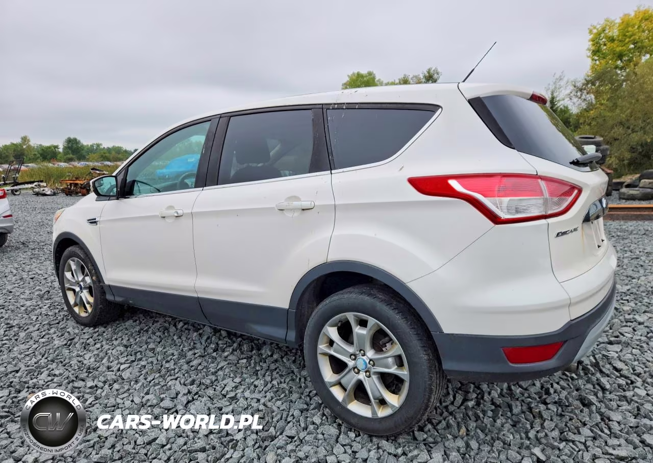 2013 Ford Escape Sel VIN:1FMCU9HX9DUB52392 - 2