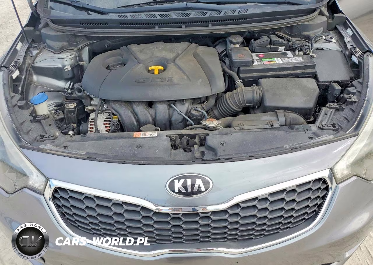 2016 Kia Forte Ex VIN:KNAFX4A87G5553207 - 11