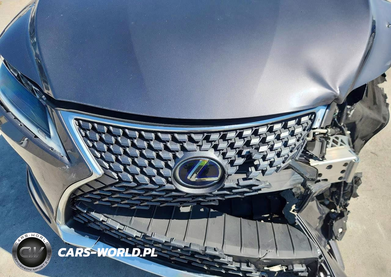 2020 Lexus Rx 450H VIN:2T2JGMDA4LC053557 - 12
