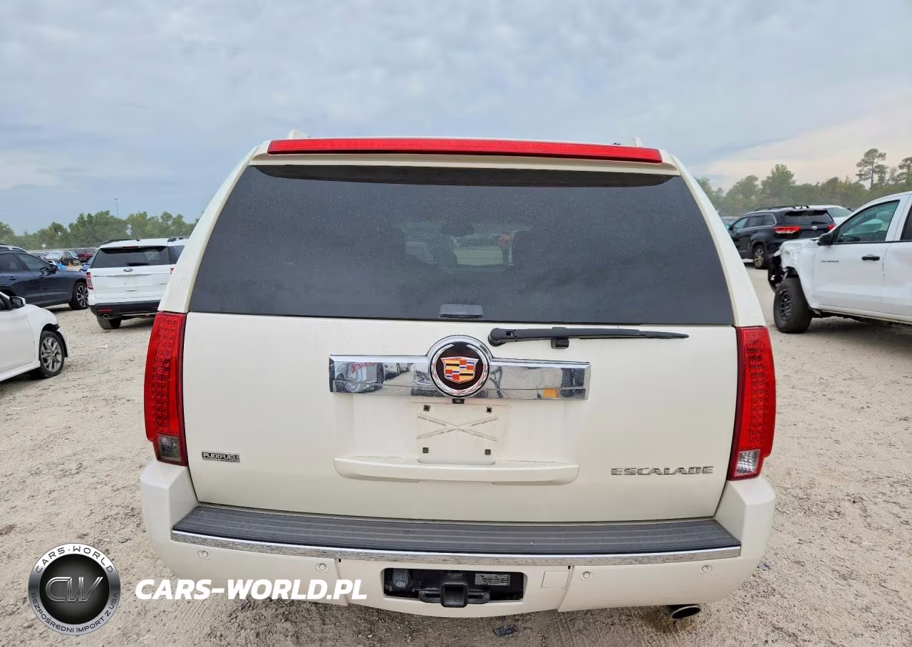 2009 Cadillac Escalade Luxury VIN:1GYFC23269R114565 - 6