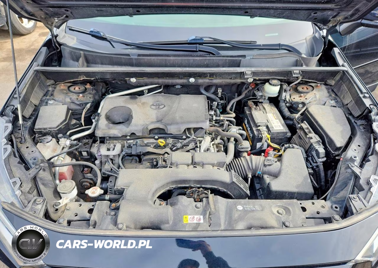2019 Toyota Rav4 Xle VIN:JTMP1RFV9KD014283 - 12