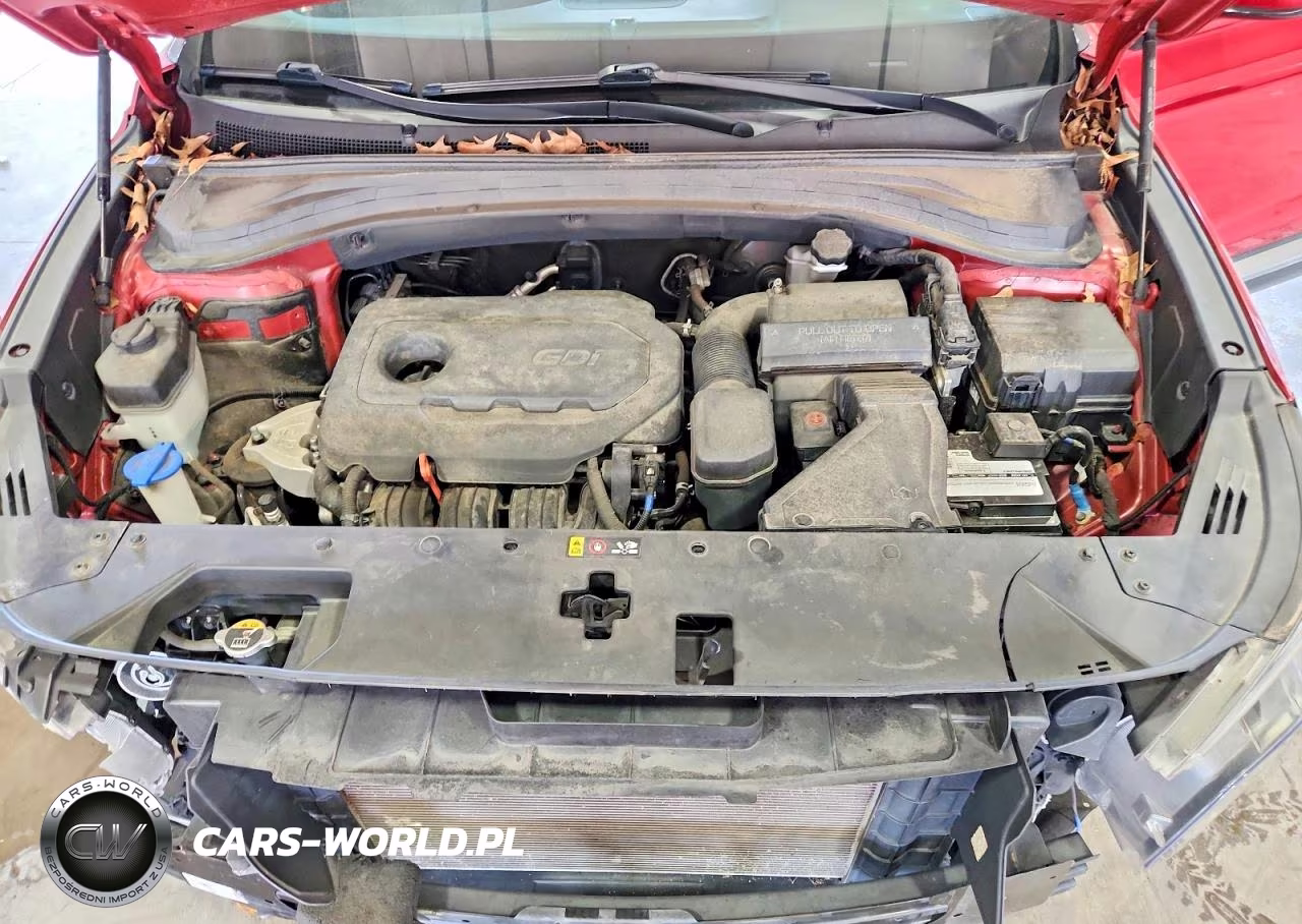 2019 Hyundai Santa Fe Sel 2.4L VIN:5NMS33ADXKH020245 - 12