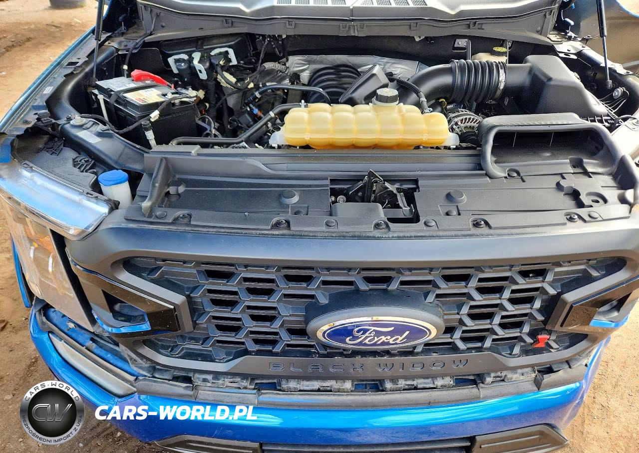 2021 Ford F150 Supercrew VIN:1FTFW1E51MFA61864 - 11