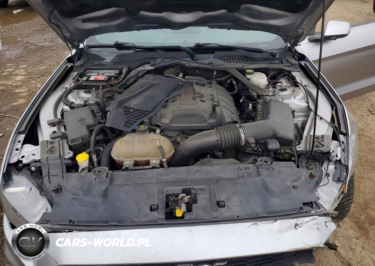 2020 Ford Mustang VIN:1FATP8UH5L5106187 - 11
