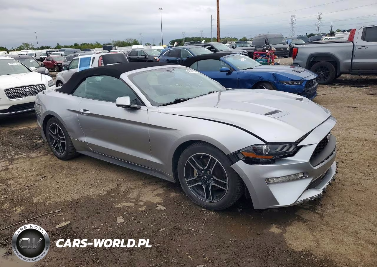 2020 Ford Mustang VIN:1FATP8UH5L5106187 - 4