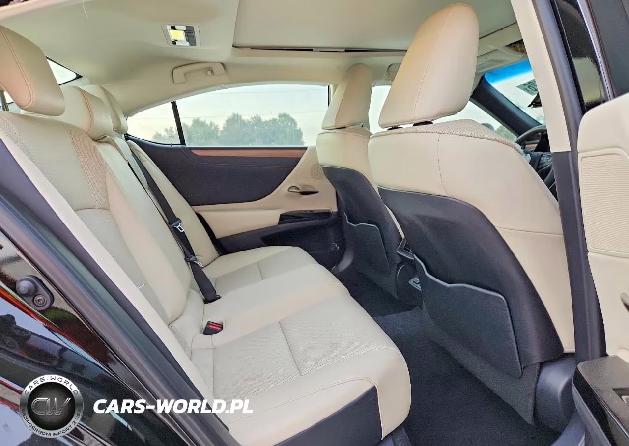 2024 Lexus Es 350 Base VIN:58ADZ1B1XRU170136 - 10