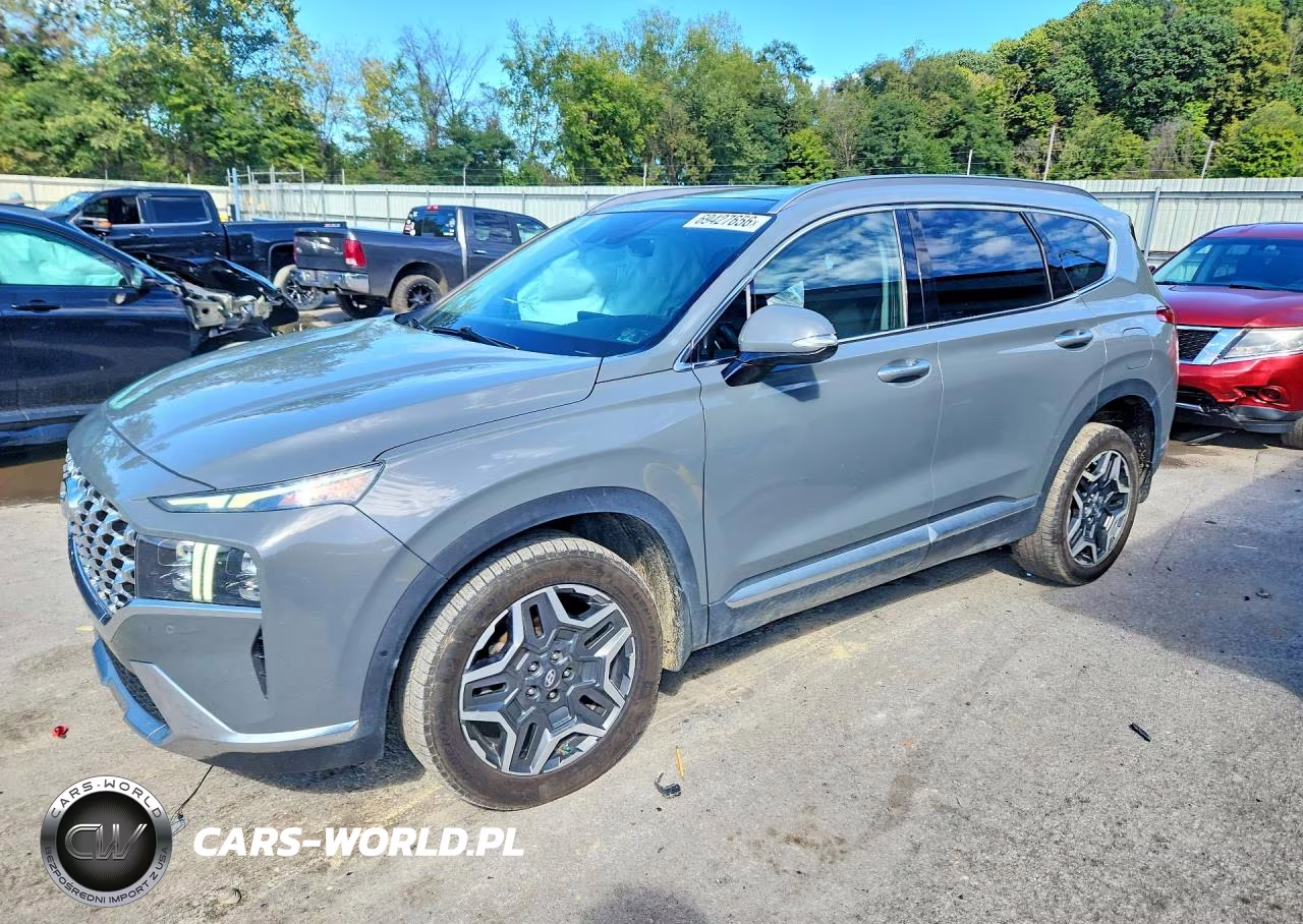 2023 Hyundai Santa Fe Limited VIN:5NMS5DA11PH013973 - 1