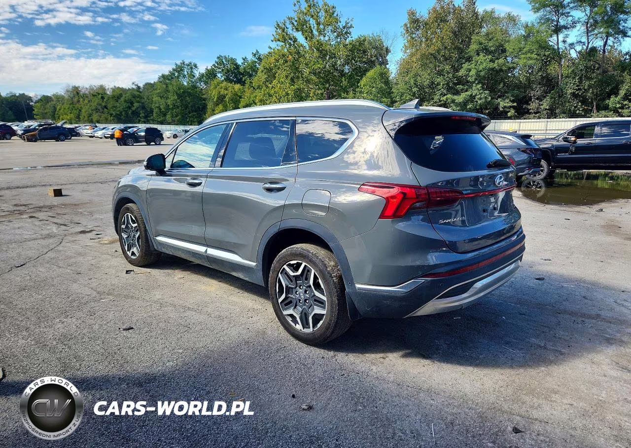 2023 Hyundai Santa Fe Limited VIN:5NMS5DA11PH013973 - 2