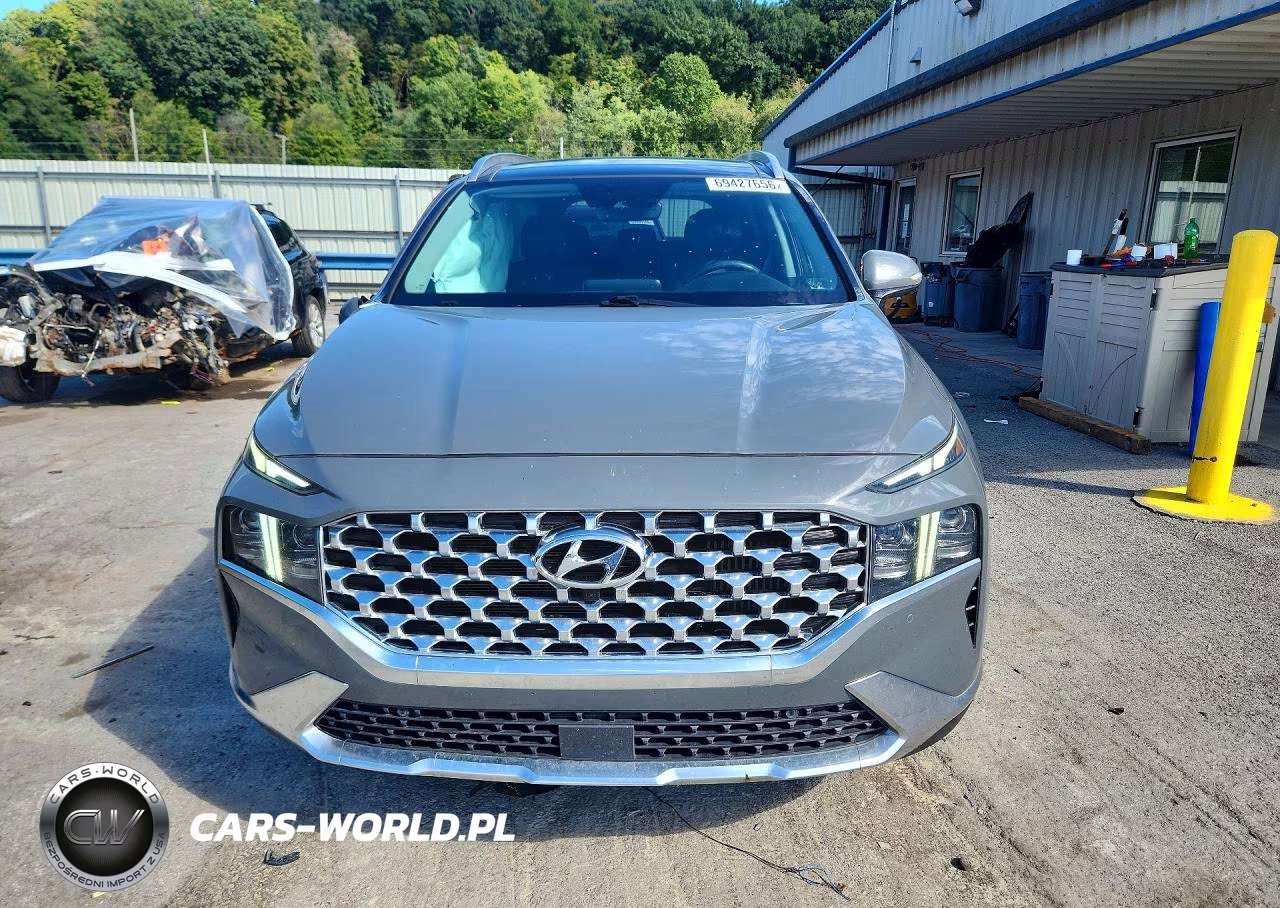 2023 Hyundai Santa Fe Limited VIN:5NMS5DA11PH013973 - 5