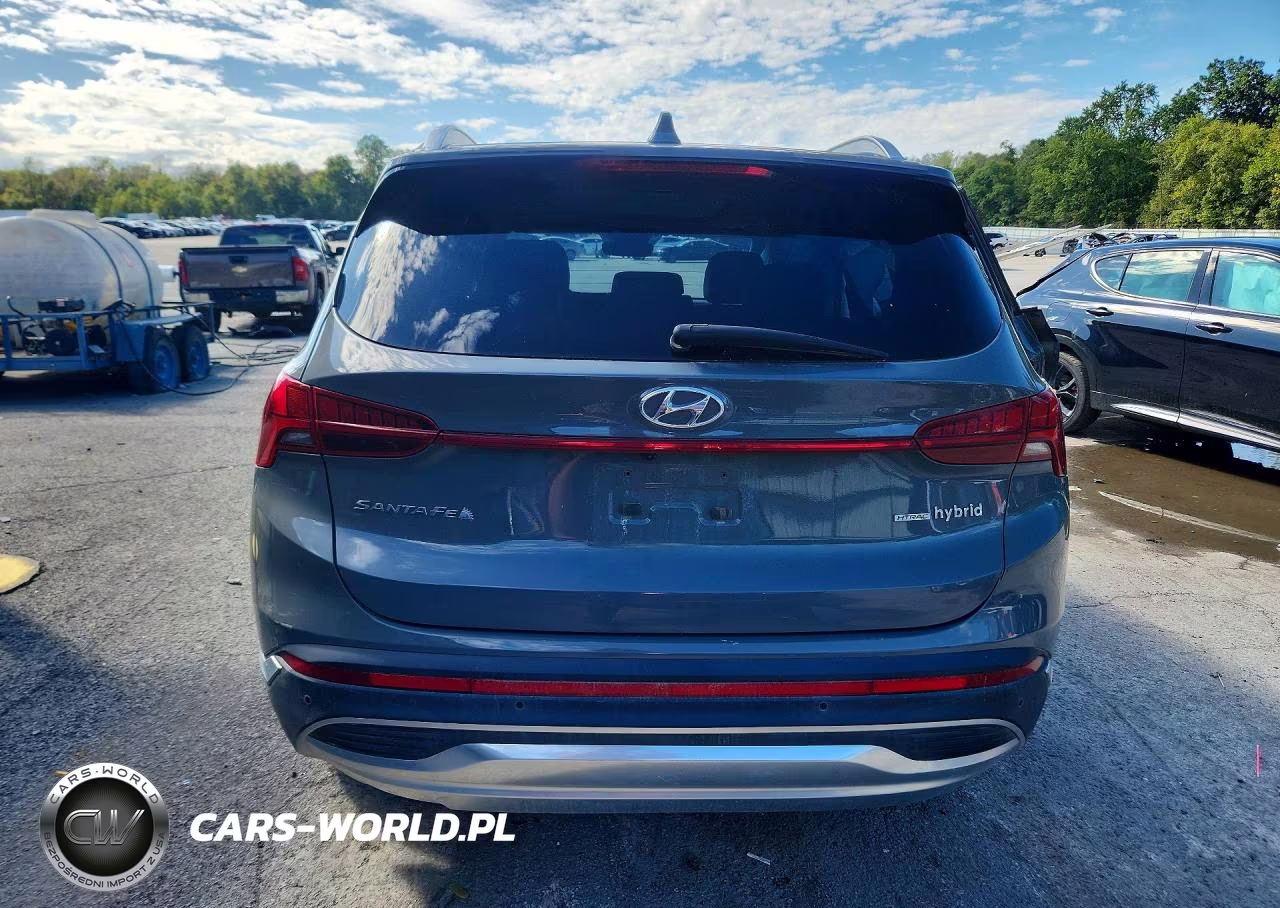 2023 Hyundai Santa Fe Limited VIN:5NMS5DA11PH013973 - 6