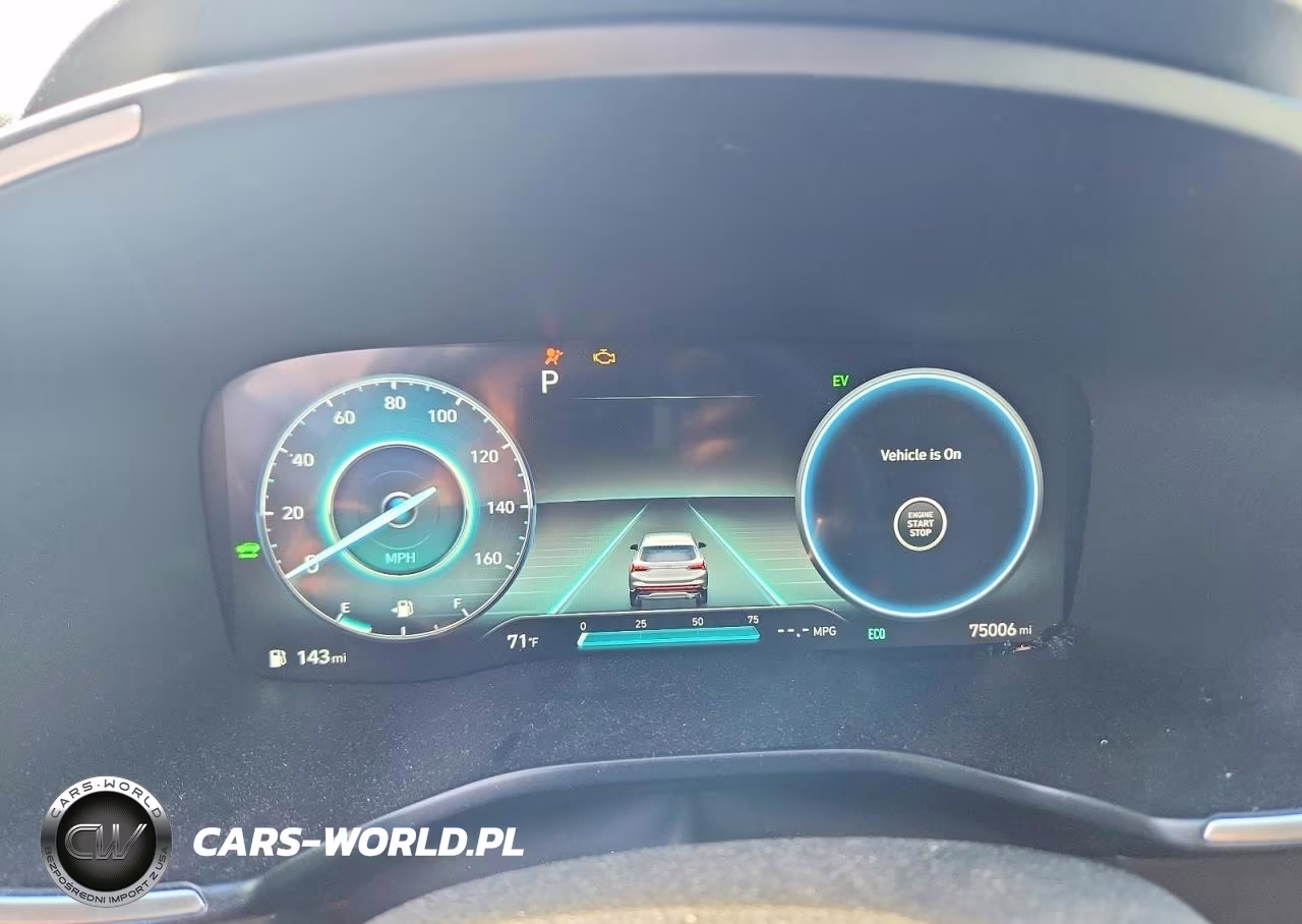 2023 Hyundai Santa Fe Limited VIN:5NMS5DA11PH013973 - 9