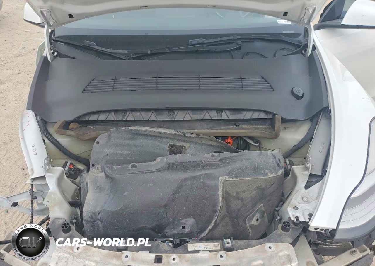 2023 Tesla Model Y VIN:7SAYGDEE4PA117540 - 11