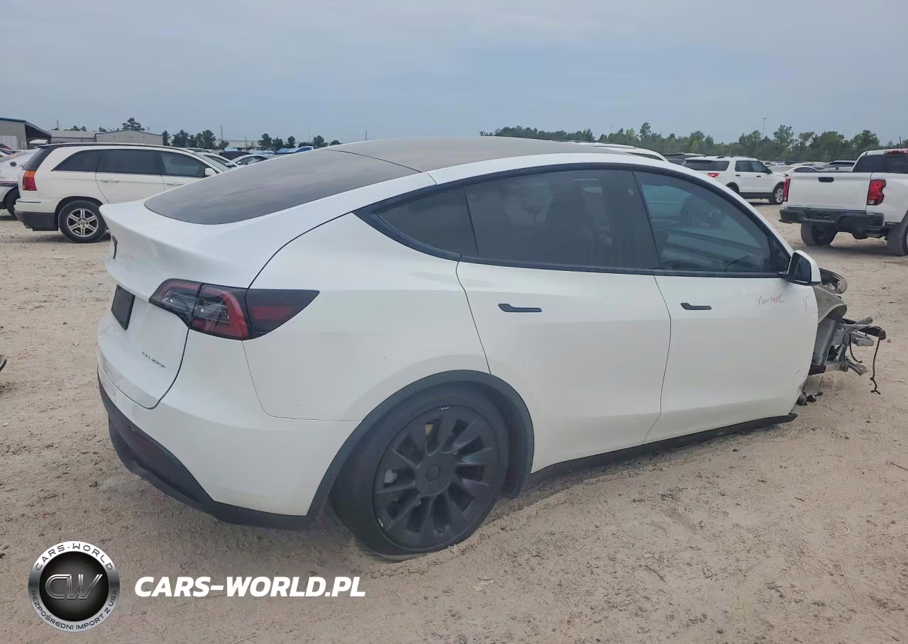 2023 Tesla Model Y VIN:7SAYGDEE4PA117540 - 3