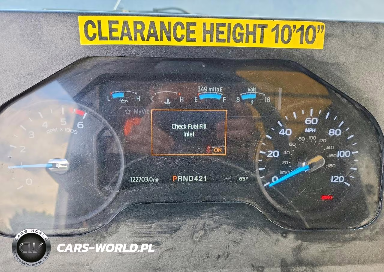 2020 Ford F59 Delivery Truck VIN:1F65F5KN2L0A01975 - 9