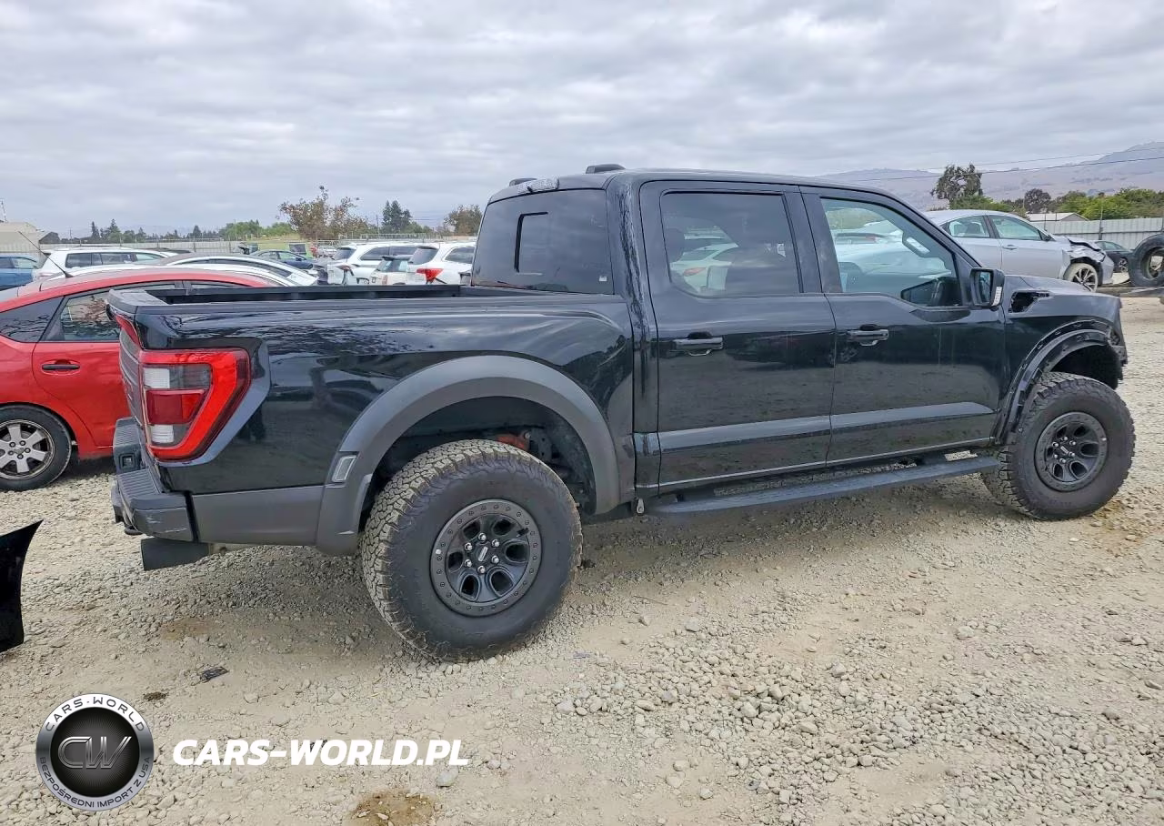 2023 Ford F150 Raptor VIN:1FTFW1RGXPFB36027 - 3