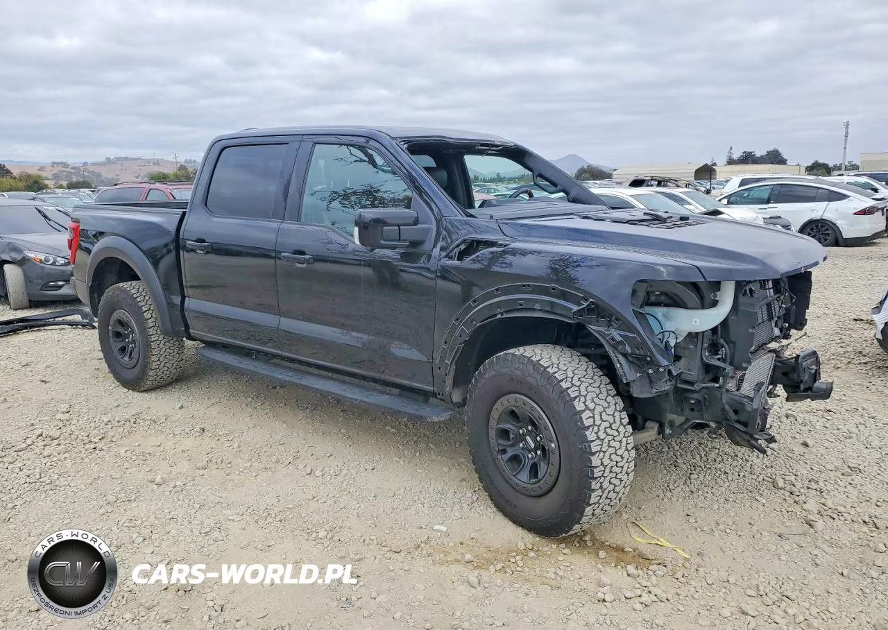 2023 Ford F150 Raptor VIN:1FTFW1RGXPFB36027 - 4