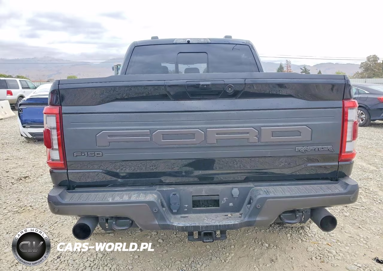 2023 Ford F150 Raptor VIN:1FTFW1RGXPFB36027 - 6