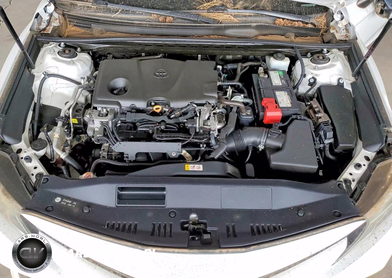 2019 Toyota Camry Le VIN:4T1B11HK9KU238826 - 11