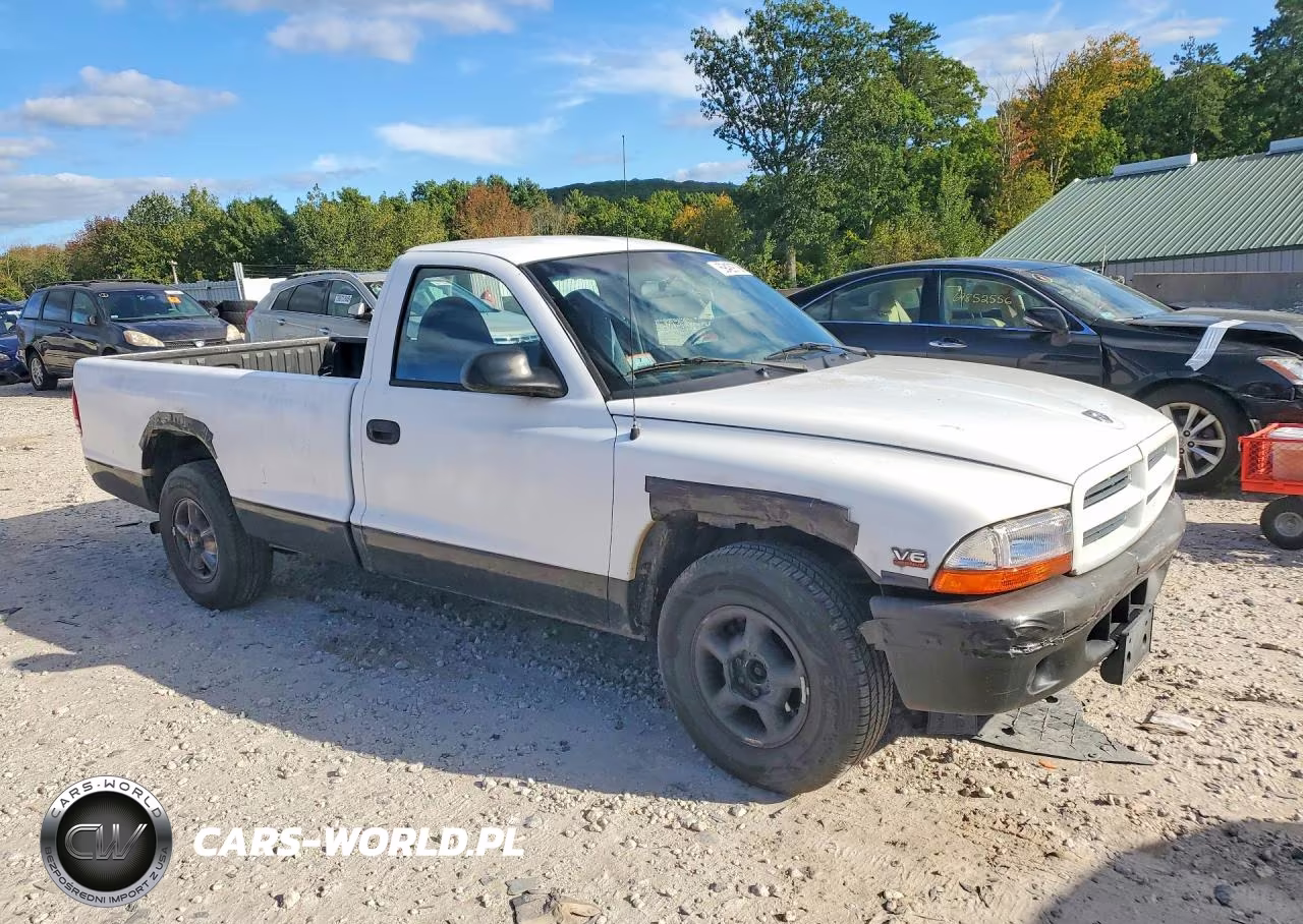 1999 Dodge Dakota VIN:1B7GL26X4XS273253 - 4