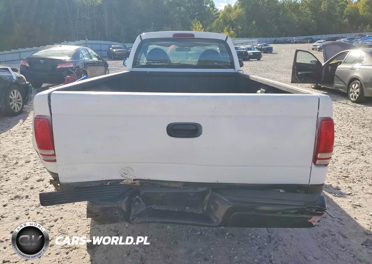 1999 Dodge Dakota VIN:1B7GL26X4XS273253 - 6