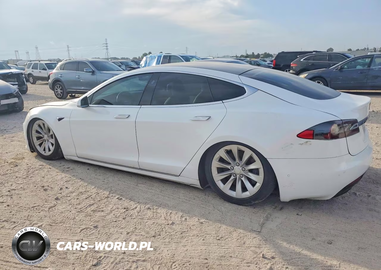 2020 Tesla Model S VIN:5YJSA1E29LF363165 - 2