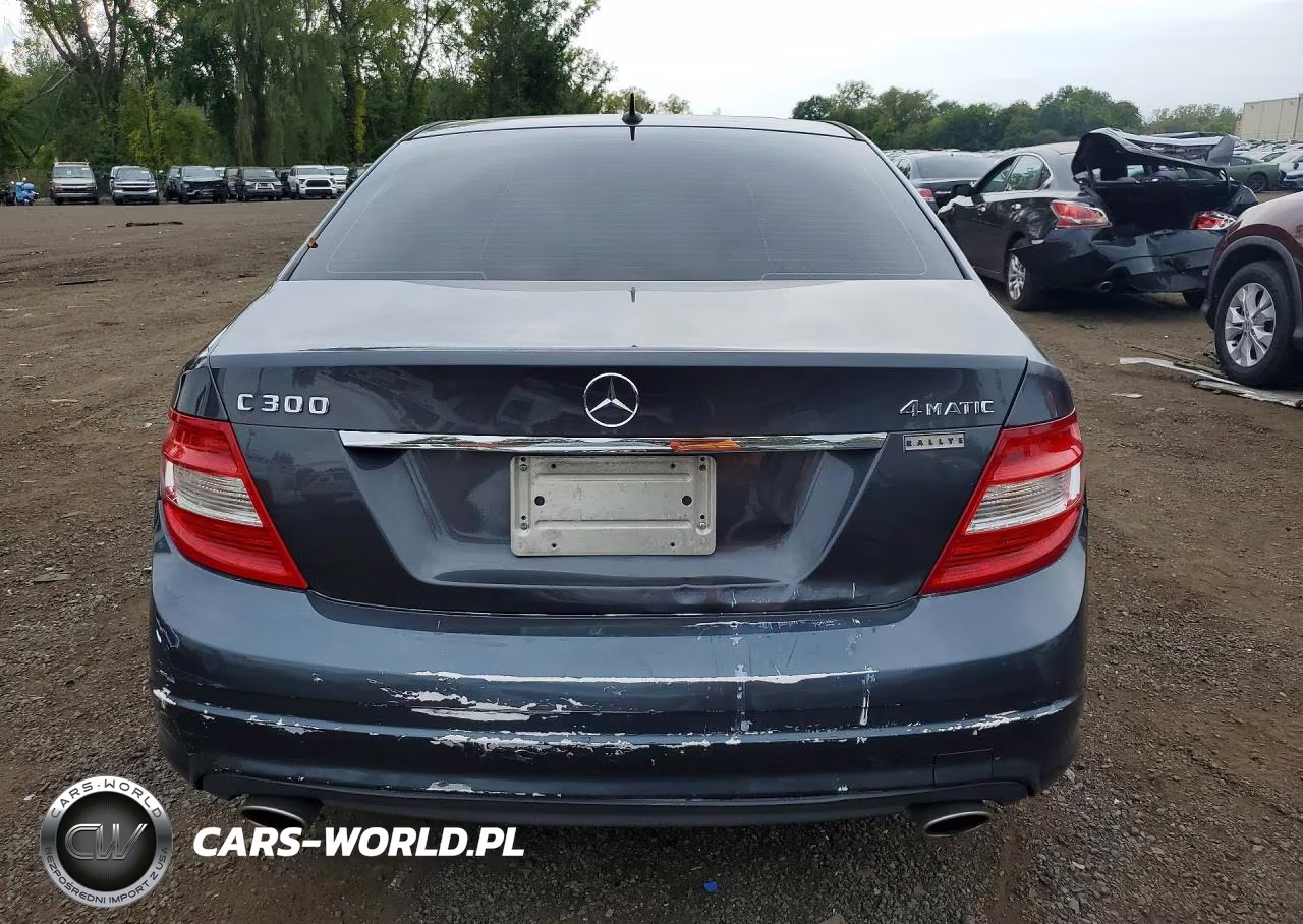 2010 Mercedes-Benz C 300 4Matic VIN:WDDGF8BB4AF447459 - 6