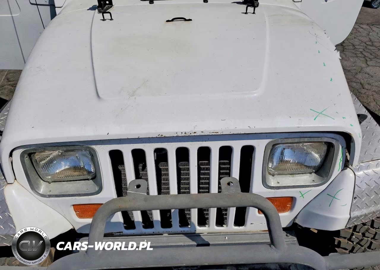 1994 Jeep Wrangler - Yj Se VIN:1J4FY29S3RP400927 - 12