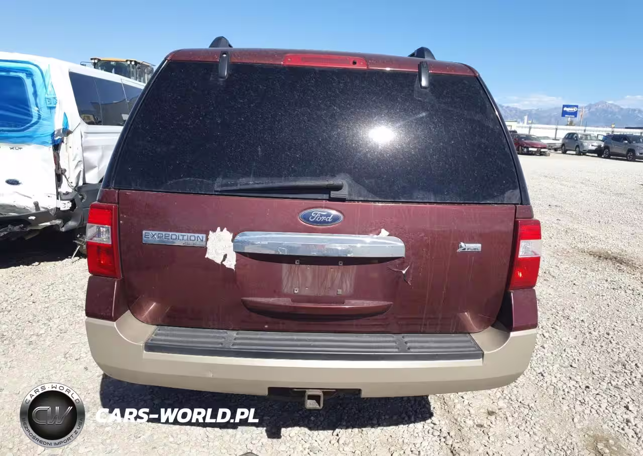 2010 Ford Expedition Eddie Bauer VIN:1FMJU1J54AEB19291 - 6