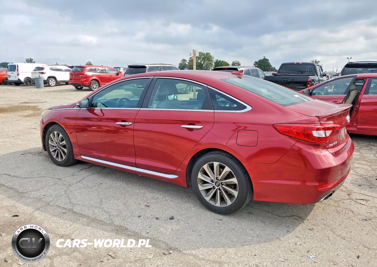 2016 Hyundai Sonata Sport VIN:5NPE34AF9GH354488 - 2