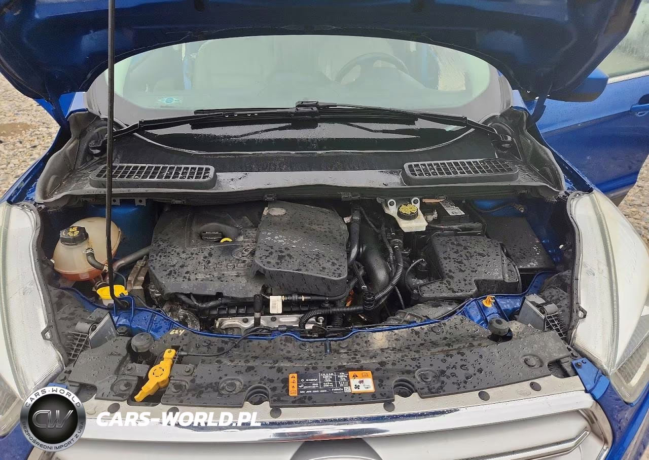 2017 Ford Escape Se VIN:1FMCU9GD8HUB01446 - 12